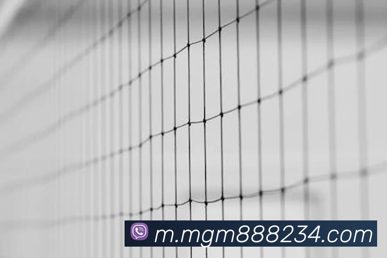 美高梅mgm平台生态图